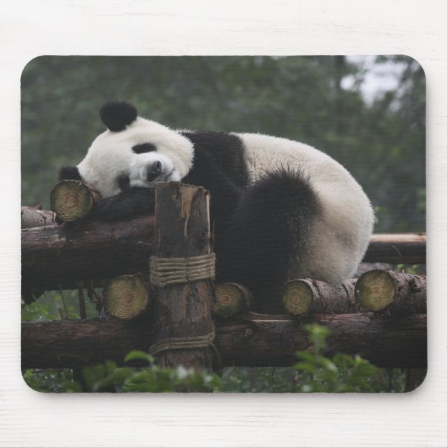 Jättepandor på jättepanda-skydd musmatta (Framsidan)