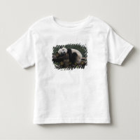 Jättepandor på jättepanda-skydd