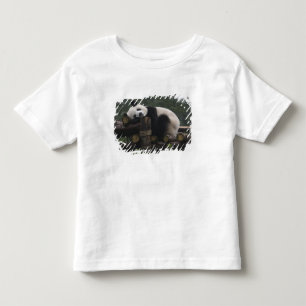 Jättepandor på jättepanda-skydd t shirt