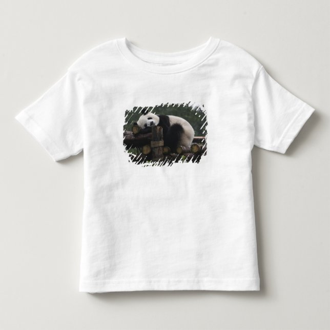 Jättepandor på jättepanda-skydd t shirt (Framsida)