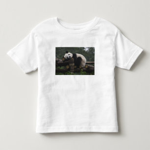 Jättepandor på jättepanda-skyddet tee shirt