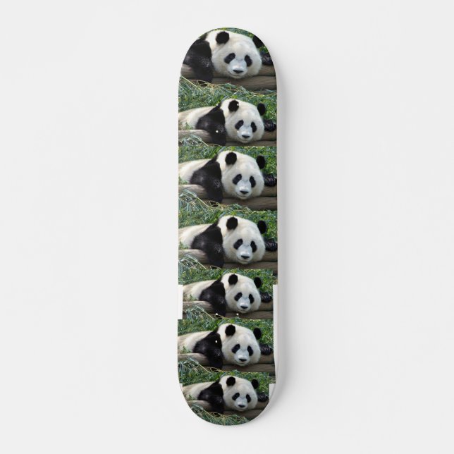 JÄTTEPANDOR SKATEBOARD BRÄDA 21,5 CM (Framsida)