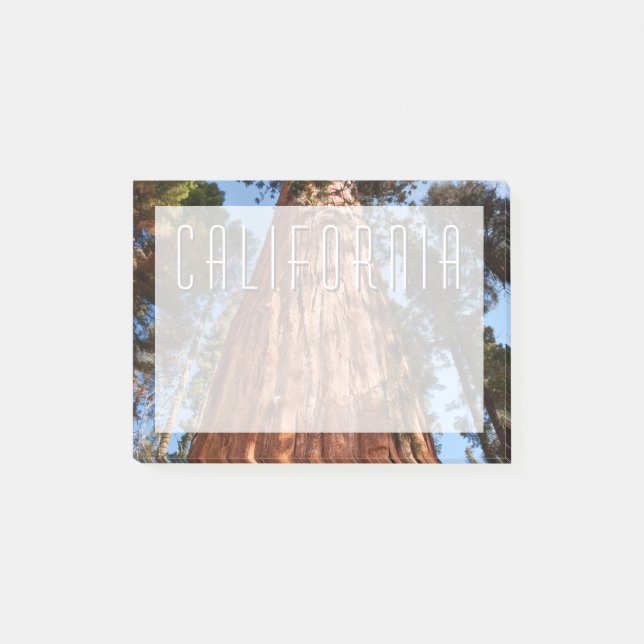 Jättesequoia Stiger Upp Post-it Block (Framsida)