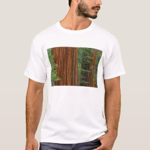 Jättestammar av sekvoja i skog, Yosemite Tee Shirt