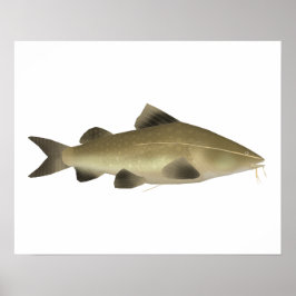 Jaú Malfisk Poster