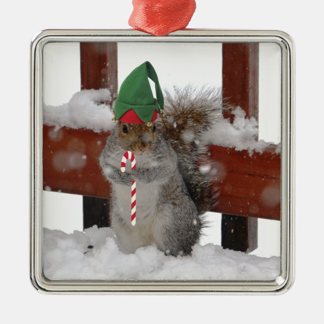 Jaunty Squirrel med Candy cane Helgdag Ornament (Framsidan)