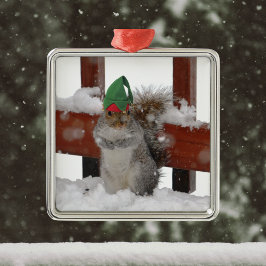 Jaunty Squirrel med Elf Hat jul Ornament