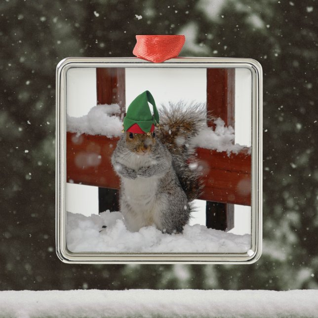 Jaunty Squirrel med Elf Hat jul Ornament (Skapare uppladdad)