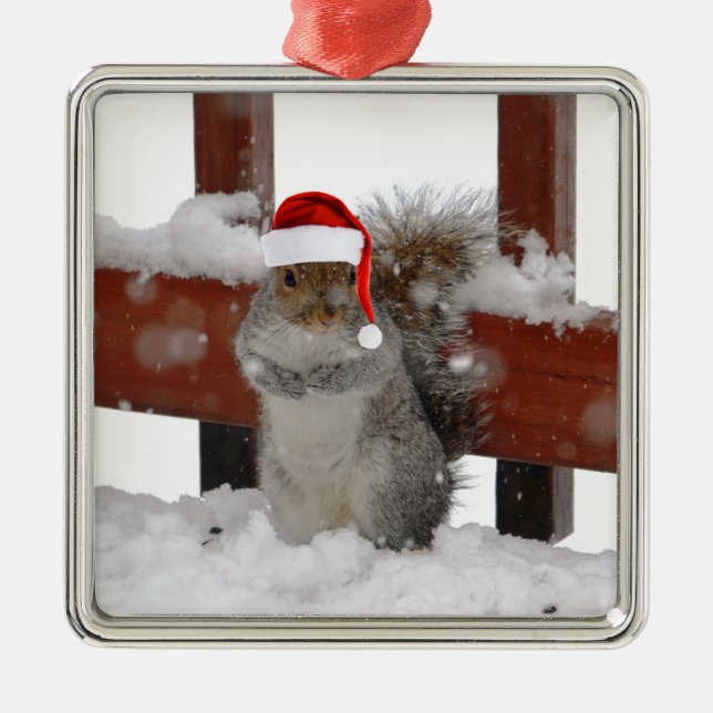 Jaunty Squirrel med Santa Hat Helgdag Ornament (Framsidan)