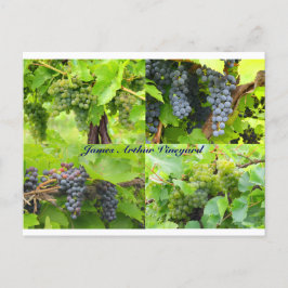 JAV Collage Postcard 2013 9 Vykort