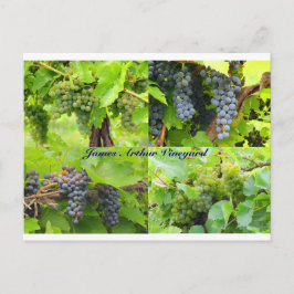 JAV Collage Postcard 2013 9 Vykort