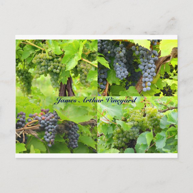 JAV Collage Postcard 2013 9 Vykort (Framsida)