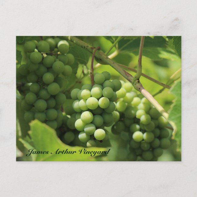 JAV-Grönt. St. Croix-vykort 10 Vykort (Framsida)