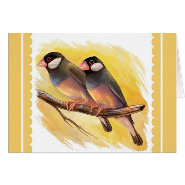 Java Sparrow-finkar - realistiska målning Hälsningskort (Framsidan Horizontal)