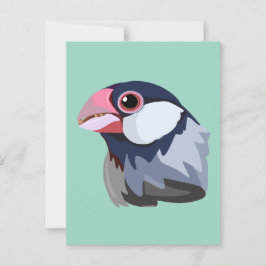 Java Sparrow - förenklad Vykort