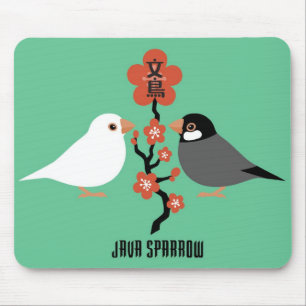 Java sparrow musmatta