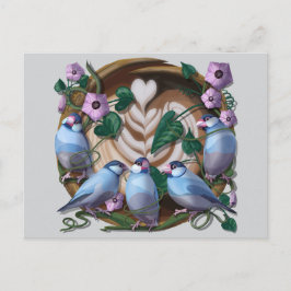 Java Sparrows, Java Coffee Vykort