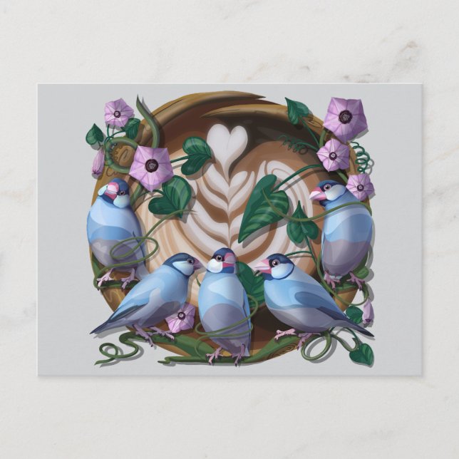 Java Sparrows, Java Coffee Vykort (Framsida)