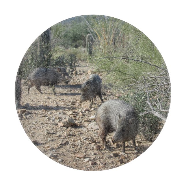 Javelina (Framsidan)