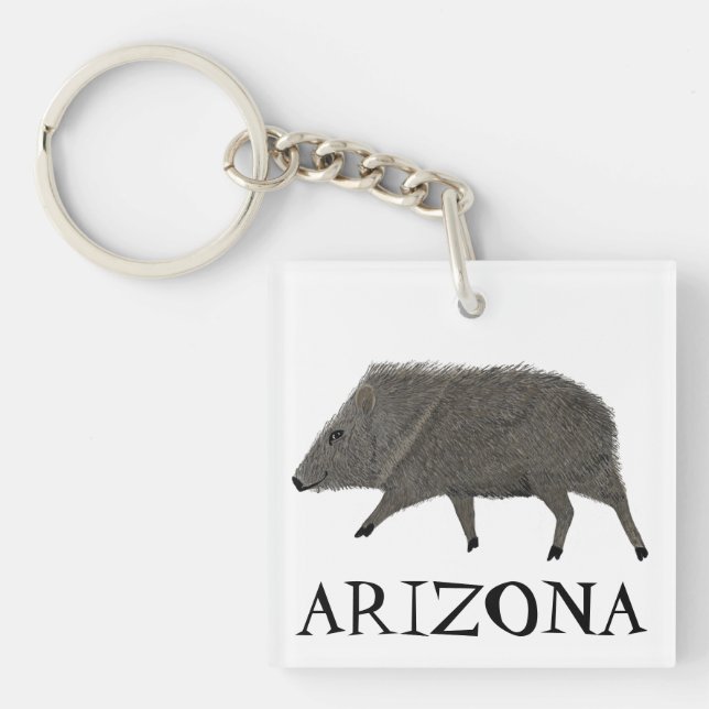 Javelina ARIZONA Desert Vild Djurens krökaraktär (Framsidan)