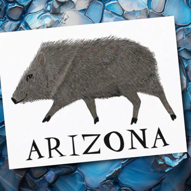 Javelina ARIZONA Desert Vild Djurens krökaraktär Vykort (Cute javelina artwork Arizona custom postcard)
