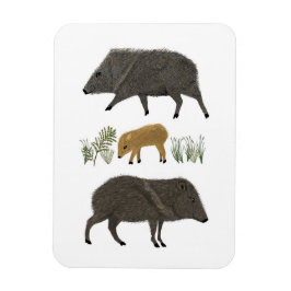 Javelina Family Porträtt Desert Animals Magnet