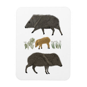 Javelina Family Porträtt Desert Animals Magnet