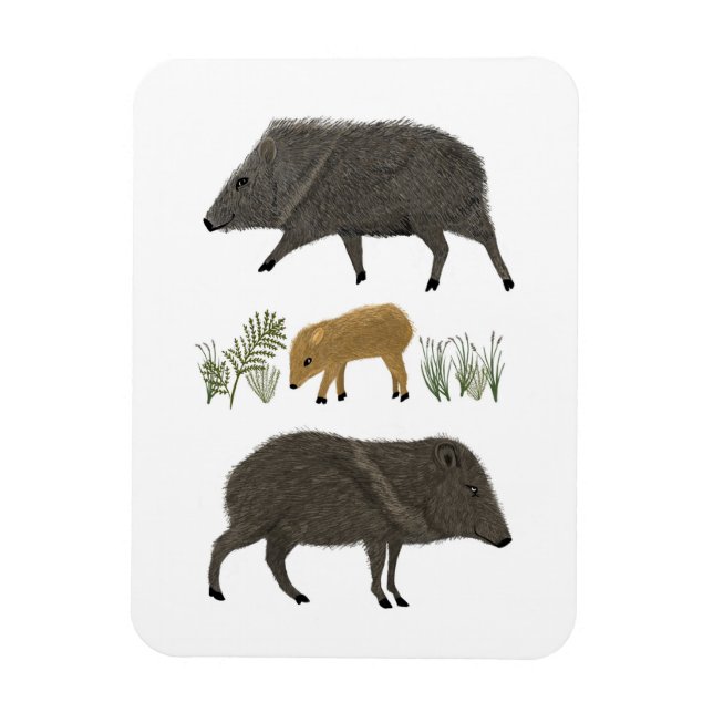 Javelina Family Porträtt Desert Animals Magnet (Vertikal)