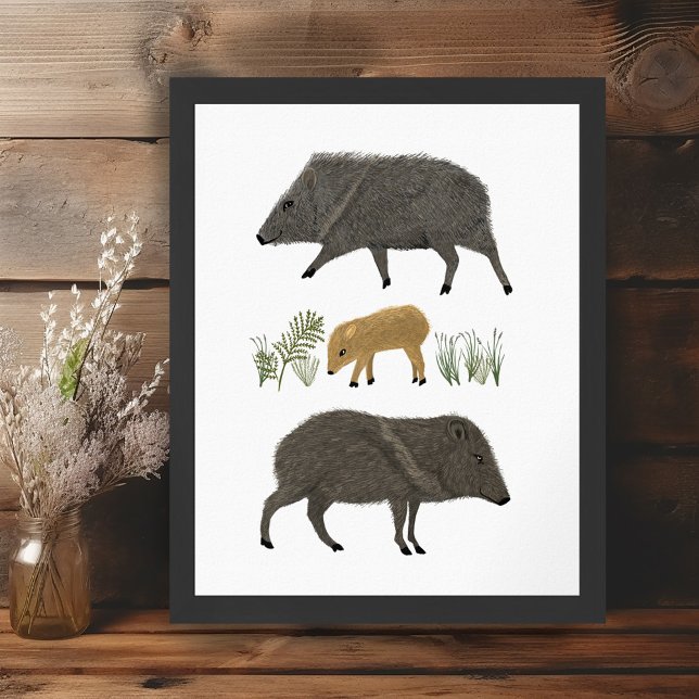 Javelina Family Porträtt Desert Animals Poster (Javelina Family Portrait Desert Animals Poster Wall Art Illustration)