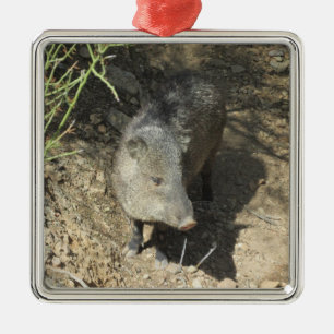 Javelina Julgransprydnad Metall