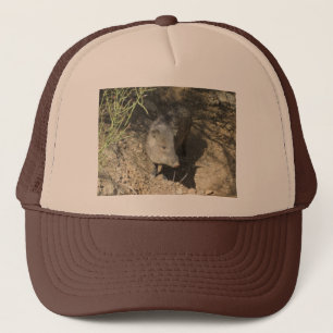 Javelina Keps