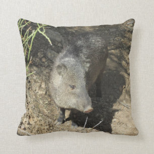 Javelina Kudde