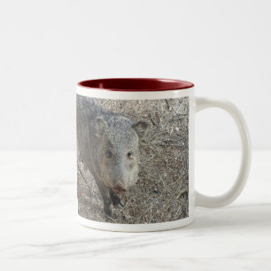 Javelina mugg