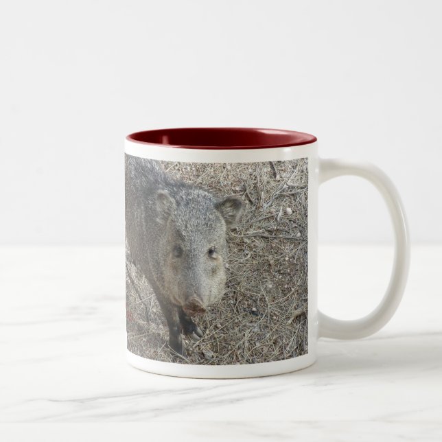 Javelina mugg (Höger)