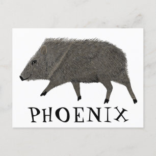 Javelina PHOENIX Desert Vild Djurart Vykort
