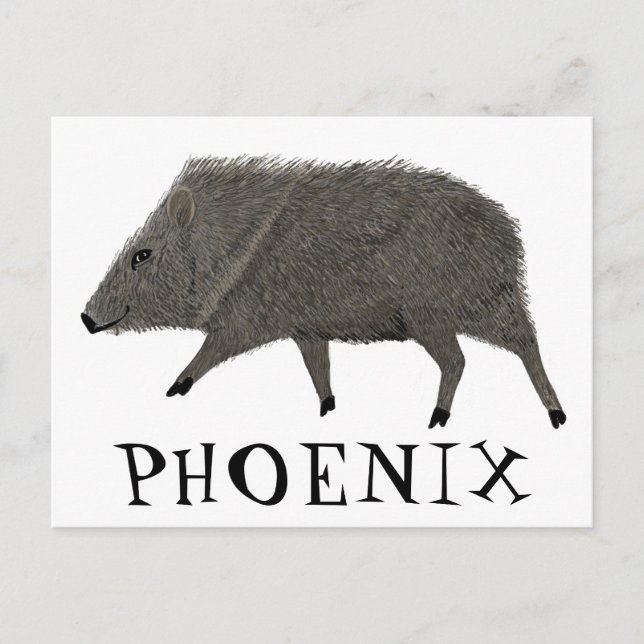 Javelina PHOENIX Desert Vild Djurart Vykort (Framsida)