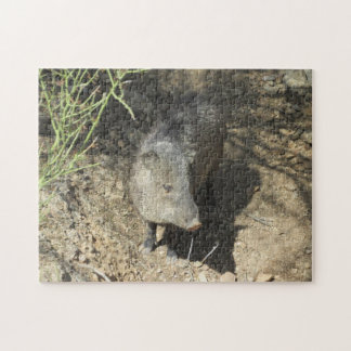 Javelina Pussel