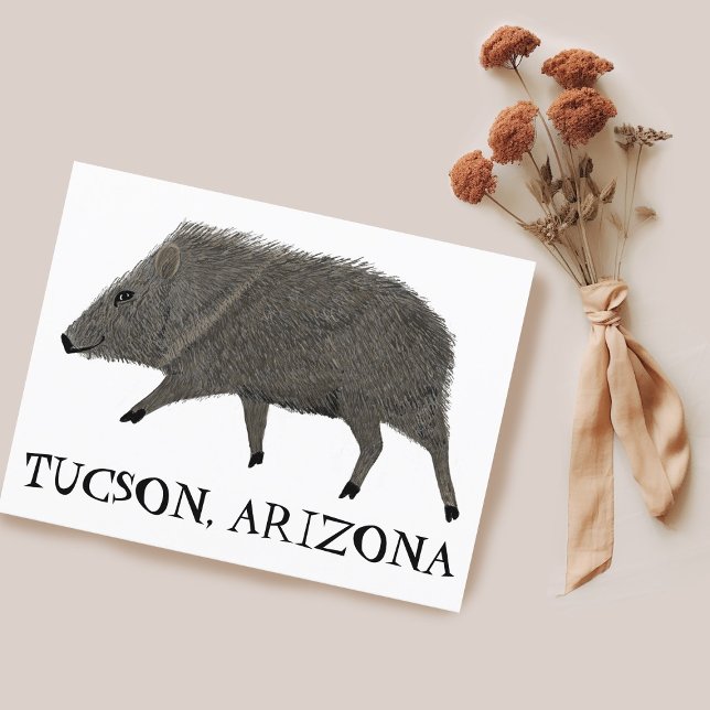 Javelina TUCSON Desert Vild Animal Peccary Nature Vykort (Javelina TUCSON Desert Wild Animal Peccary Nature Postcard Customize it)
