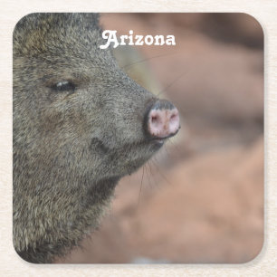 Javelina Underlägg Papper Kvadrat