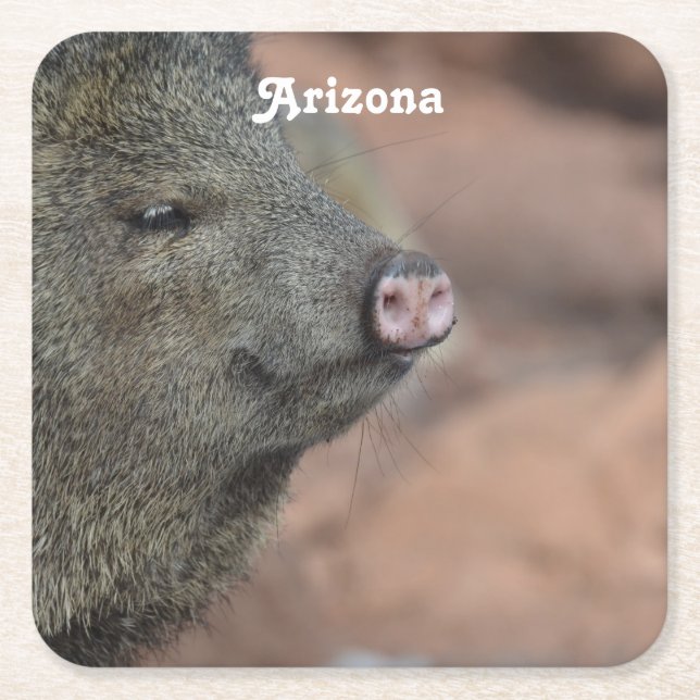 Javelina Underlägg Papper Kvadrat (Framsidan)