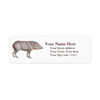 Javelinas Collborn Peccaries Unika Arizona Returadress Etikett