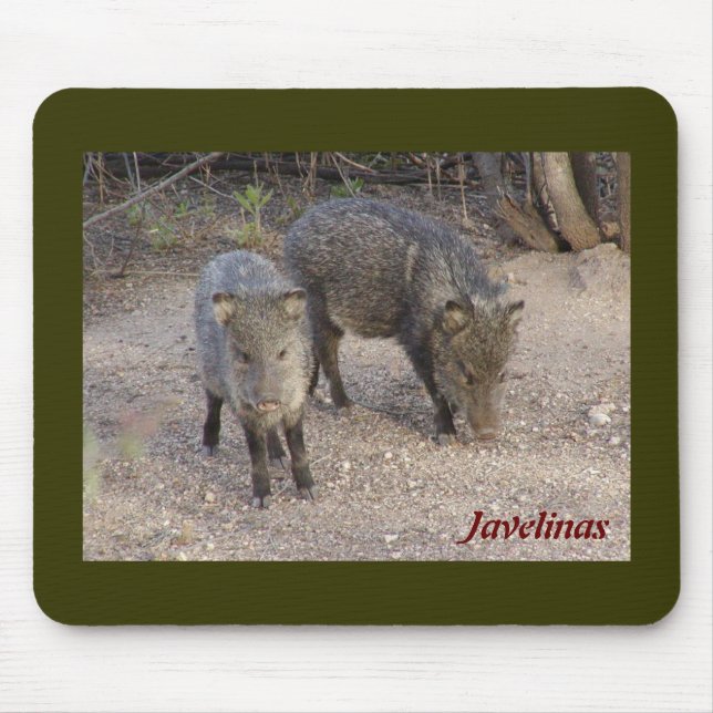 Javelinas mousepad musmatta (Framsidan)