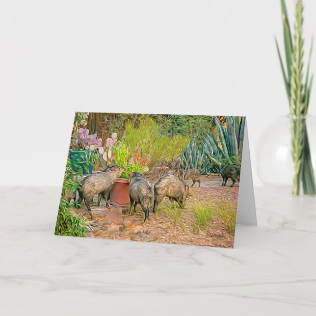 Javelinas vid Casita Kort (Framsida)