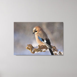 Jay Bird Canvastryck