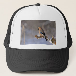 Jay Bird in Winter Truckerkeps