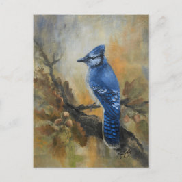 Jay Bird Postcard Helg Vykort