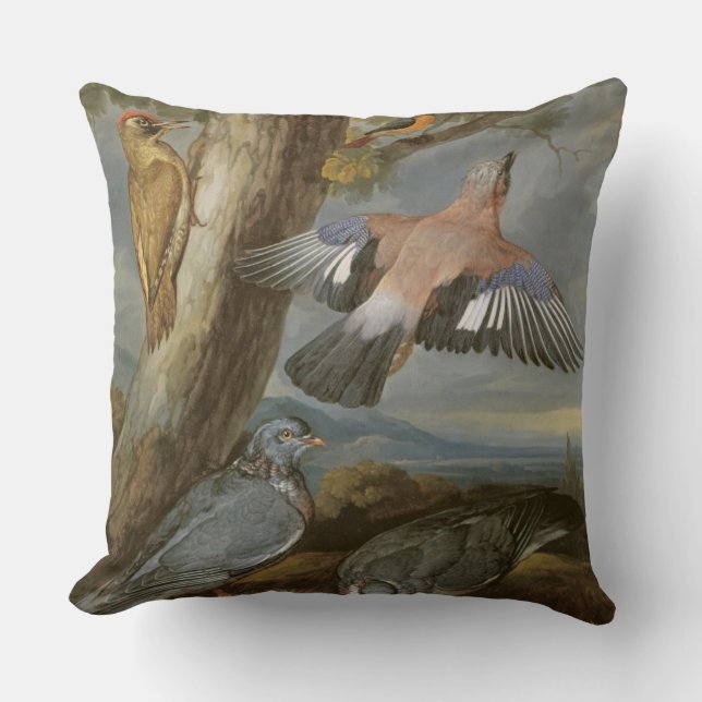Jay, gröngöling, duvor och Redstart, c.165 Kudde (Framsida)