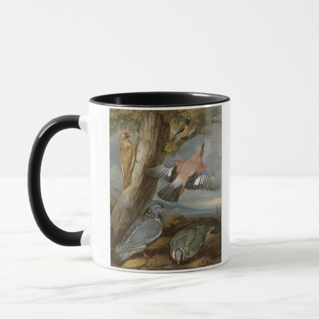 Jay, gröngöling, duvor och Redstart, c.165 Mugg (Vänster)