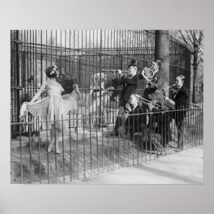 Jazzband på zoo, 1925. Gammalt foto Poster