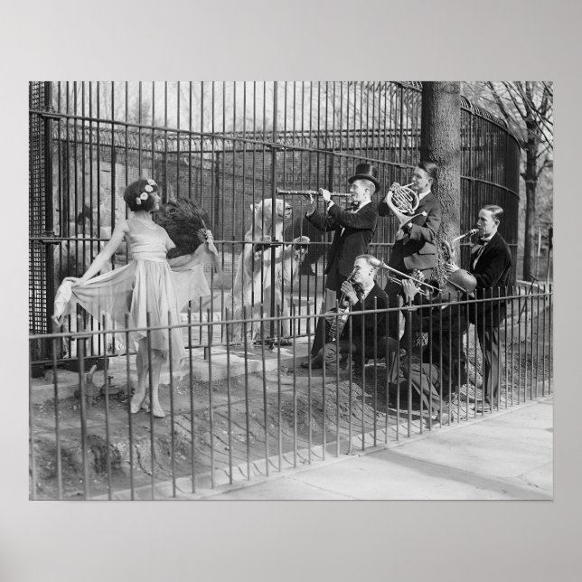 Jazzband på zoo, 1925. Gammalt foto Poster (Framsidan)